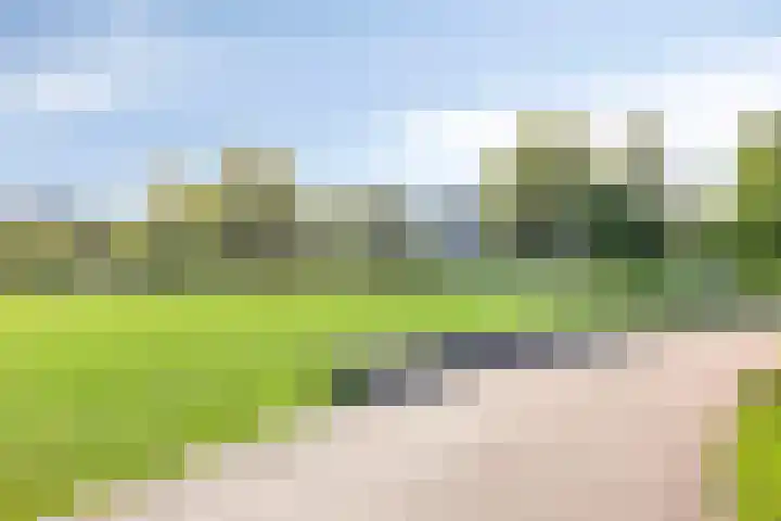 Dunantstraat 552 Zoetermeer thumbnail 30