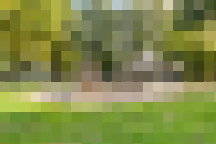 Dunantstraat 552 Zoetermeer thumbnail 31