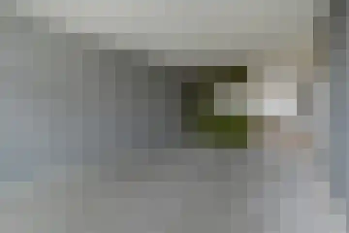 Dunantstraat 668 Zoetermeer thumbnail 22
