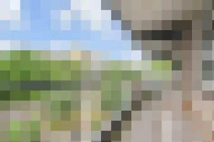 Dunantstraat 710 Zoetermeer thumbnail 29