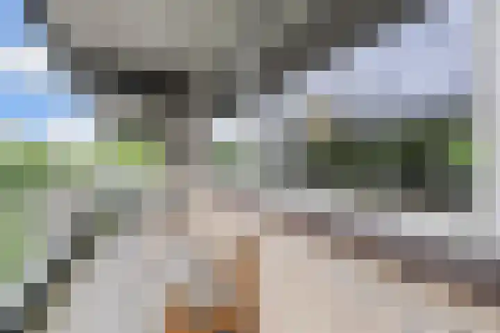 Dunantstraat 710 Zoetermeer thumbnail 30