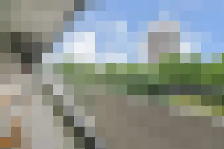 Dunantstraat 710 Zoetermeer thumbnail 31