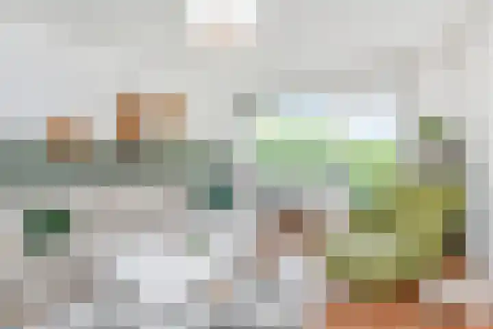 Dunantstraat 710 Zoetermeer thumbnail 8