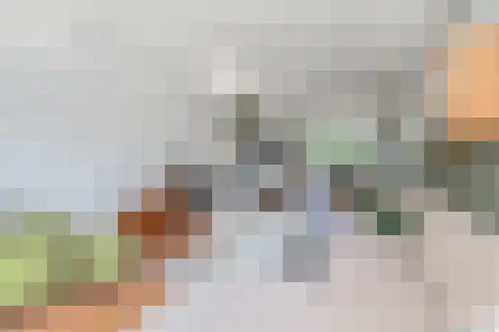 Dunantstraat 710 Zoetermeer thumbnail 9