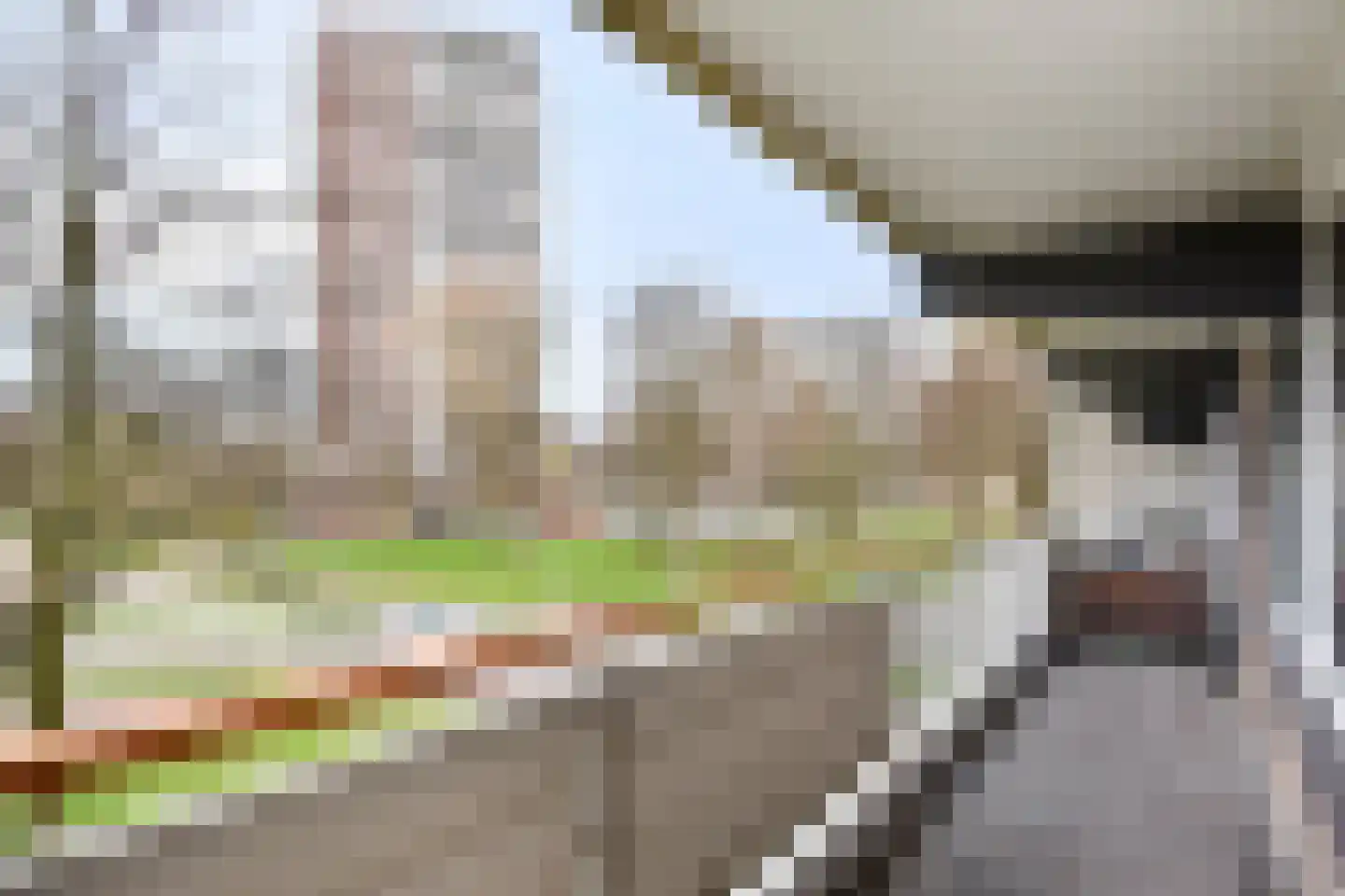 Dunantstraat 784 Zoetermeer thumbnail 13