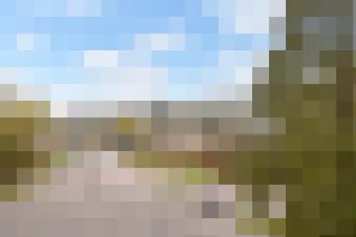 Dunantstraat 830 Zoetermeer thumbnail 16