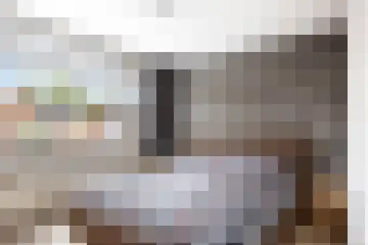 Dupuislaan 7 Eindhoven thumbnail 12