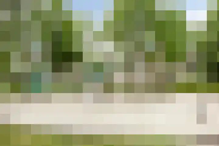 Dupuislaan 7 Eindhoven thumbnail 29