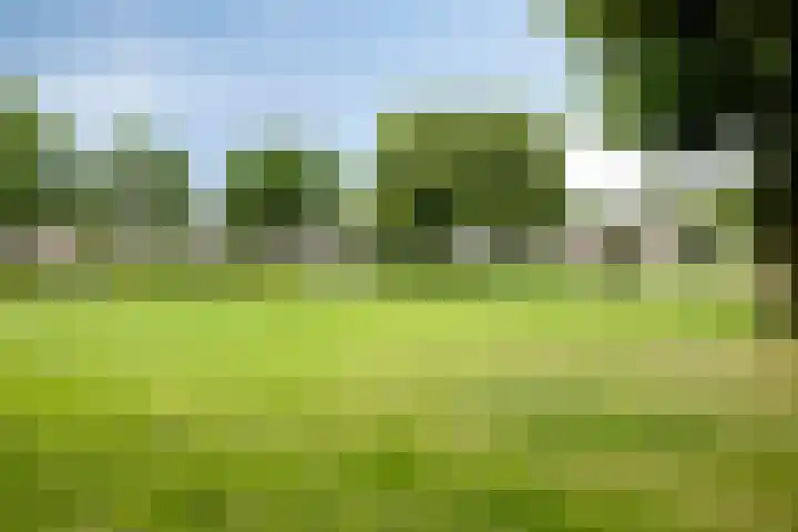 Dupuislaan 7 Eindhoven thumbnail 30