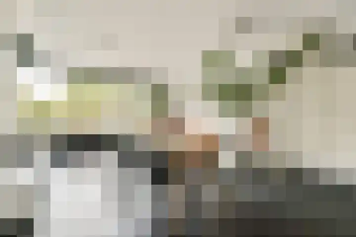 Durendaal 11 Oss thumbnail 10