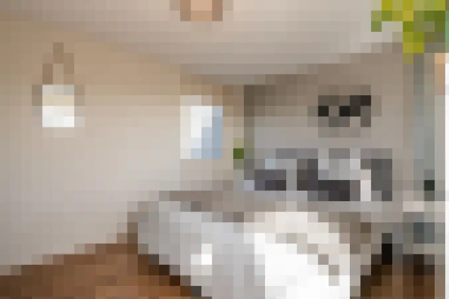 Durendaal 11 Oss thumbnail 18