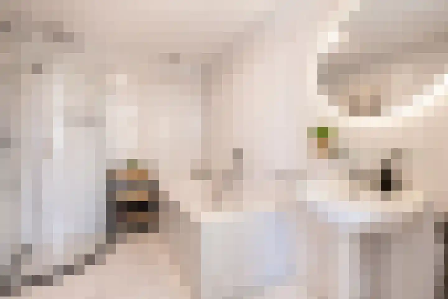 Durendaal 11 Oss thumbnail 20