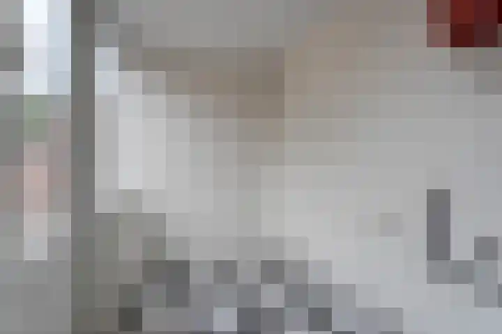 Düttingstraat 8 Denekamp thumbnail 15