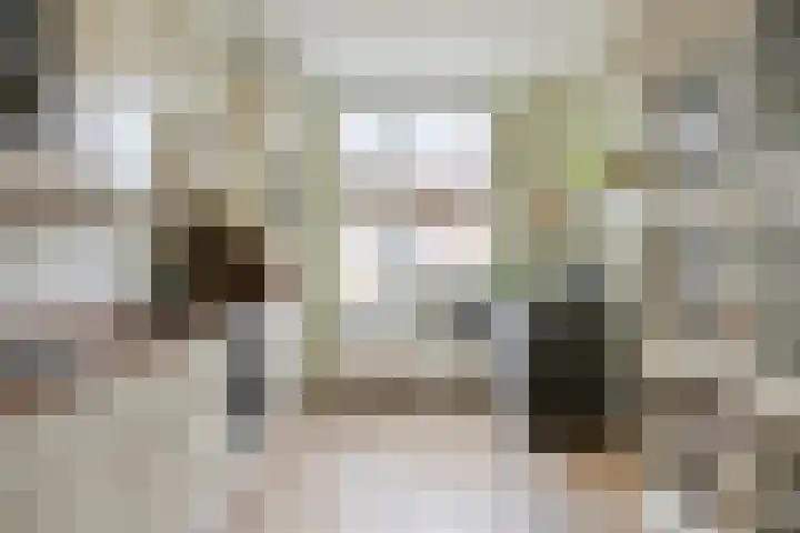 Duunmede 21 Middelburg thumbnail 12
