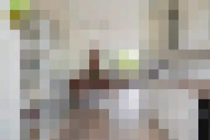 Duunmede 21 Middelburg thumbnail 13