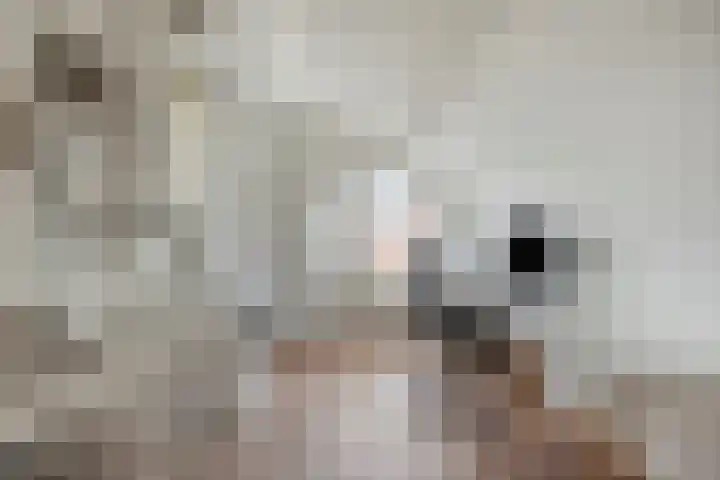 Duunmede 21 Middelburg thumbnail 27