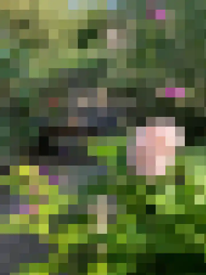 Duunmede 21 Middelburg thumbnail 33