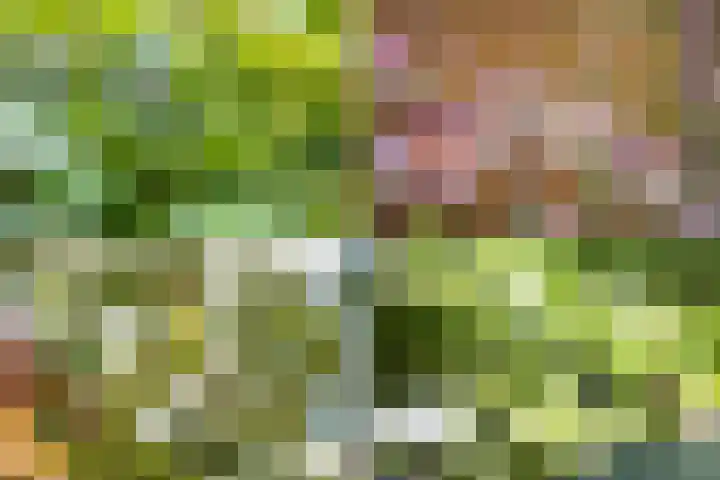 Duurstedelaan 97 Utrecht thumbnail 17