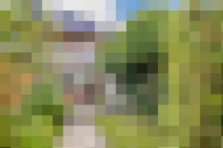 Duurstedelaan 97 Utrecht thumbnail 19