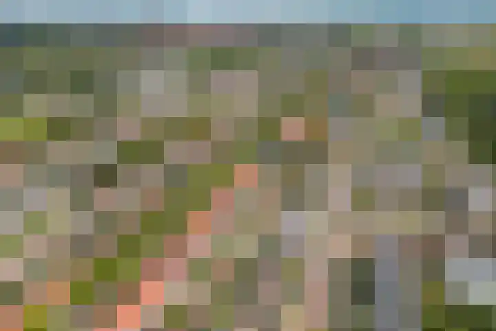 Duurstedelaan 97 Utrecht thumbnail 43