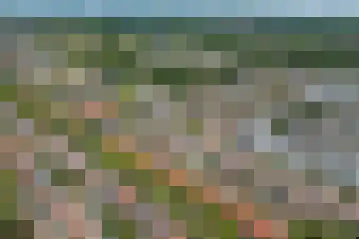 Duurstedelaan 97 Utrecht thumbnail 44