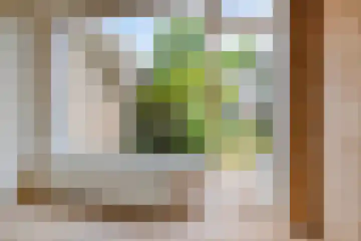Duurstedestraat 32 Breda thumbnail 13