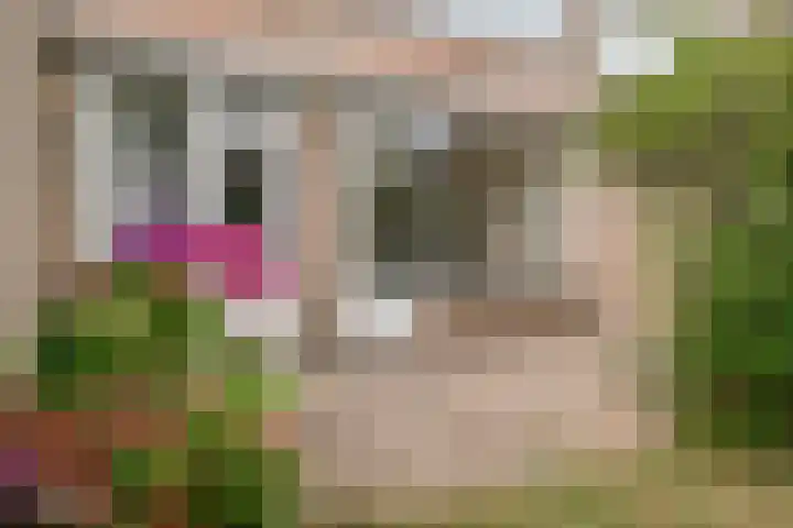 Duurstedestraat 32 Breda thumbnail 30