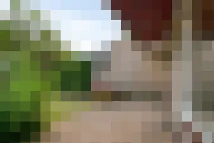 Duurstedestraat 32 Breda thumbnail 31