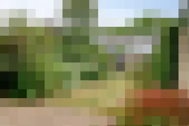 Duurstedestraat 32 Breda thumbnail 32