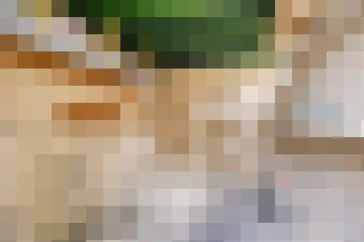Duurstedestraat 32 Breda thumbnail 35