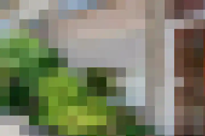 Duurstedestraat 32 Breda thumbnail 37