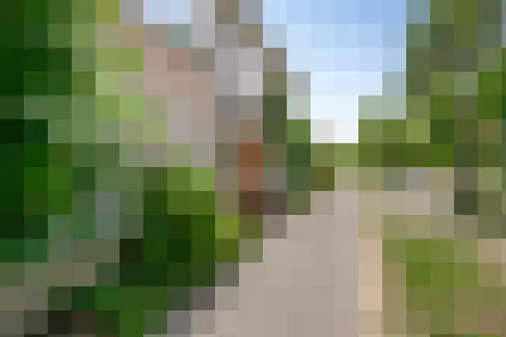 Duurstedestraat 32 Breda thumbnail 39