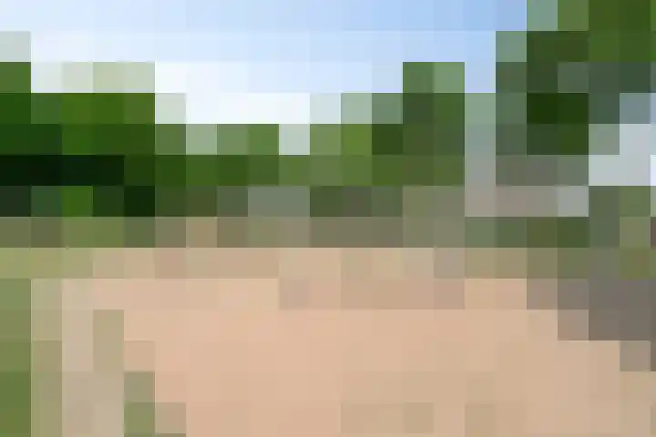 Duurstedestraat 32 Breda thumbnail 42