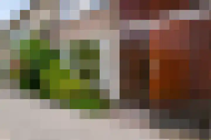 Duurstedestraat 32 Breda thumbnail 6