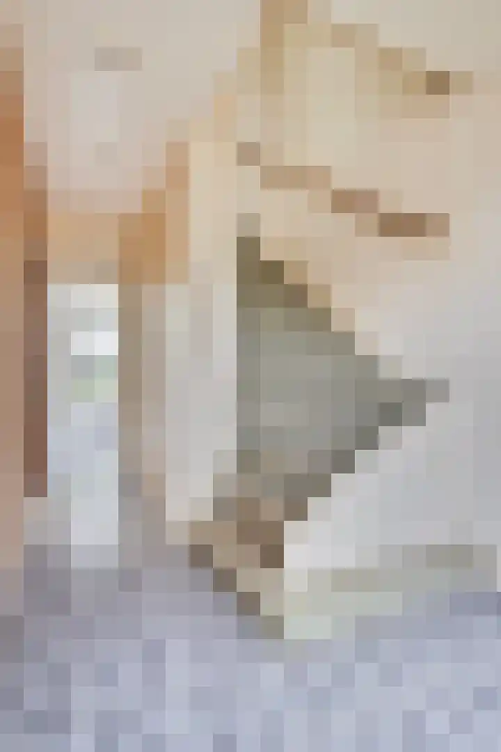 Duurstedestraat 32 Breda thumbnail 9
