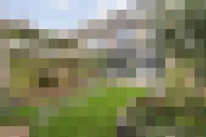 Duurstedestraat 46 Breda thumbnail 57
