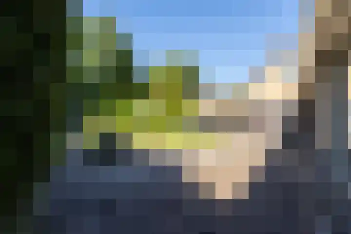 Duurswold 29 Veendam thumbnail 24