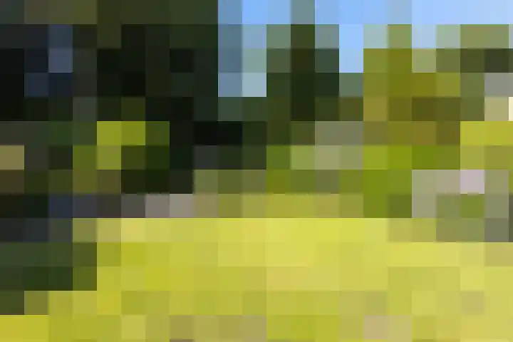 Duurswold 29 Veendam thumbnail 26