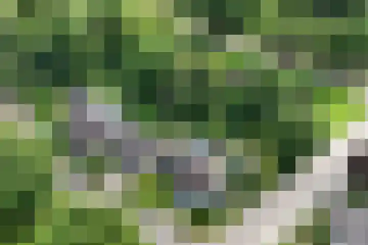 Duurswold 29 Veendam thumbnail 33
