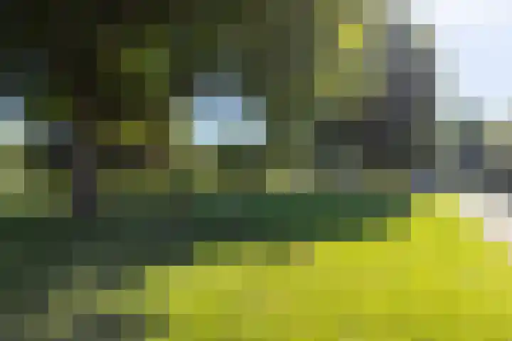 Duurswold 29 Veendam thumbnail 35