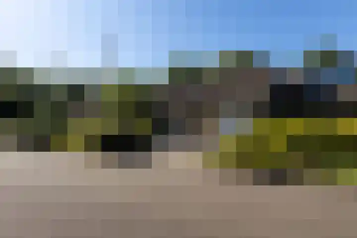 Duurswold 29 Veendam thumbnail 37