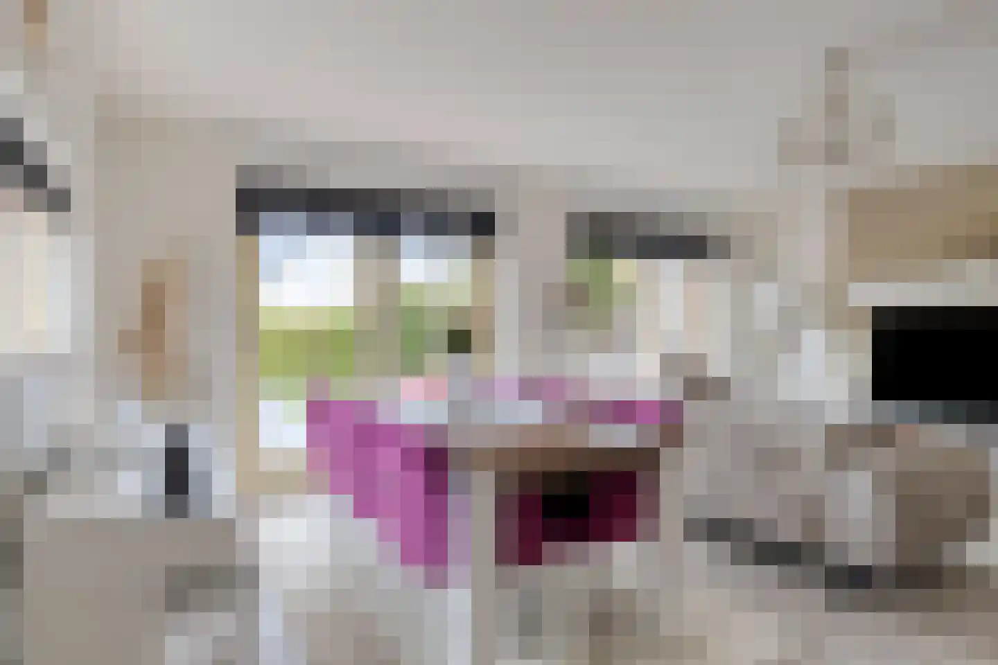 Duurswoldlaan 37 Groningen thumbnail 13