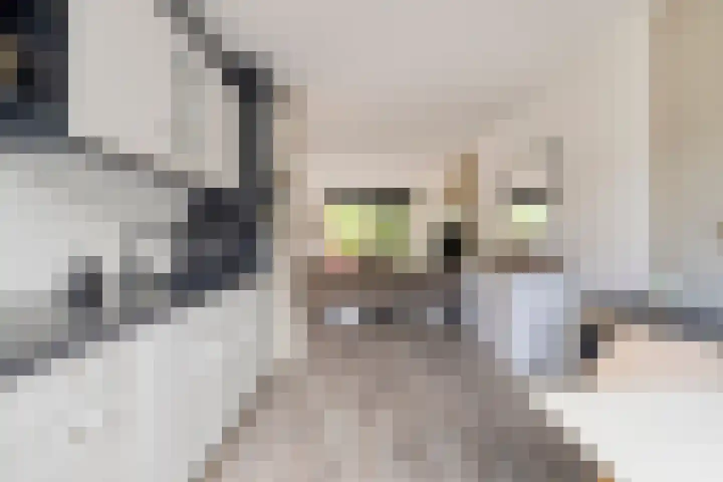 Duurswoldlaan 37 Groningen thumbnail 16