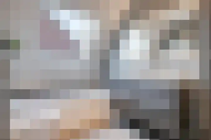 Duvensteijn 8 Goes thumbnail 25
