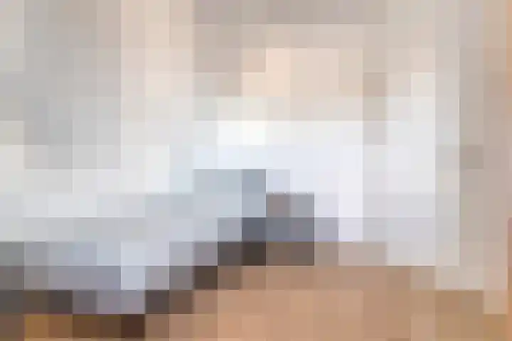 Duvensteijn 8 Goes thumbnail 30