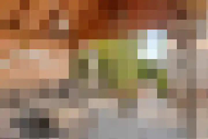 Duvensteijn 8 Goes thumbnail 36