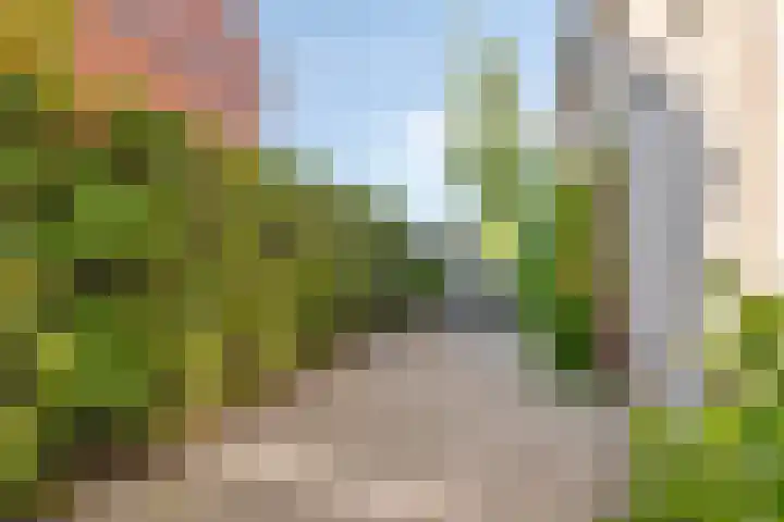 Duvensteijn 8 Goes thumbnail 37