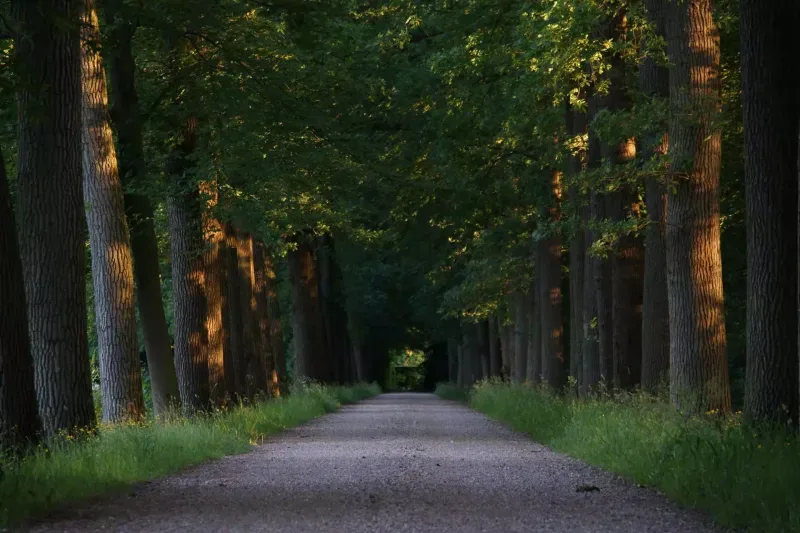 Kantoor foto van DW Makelaardij