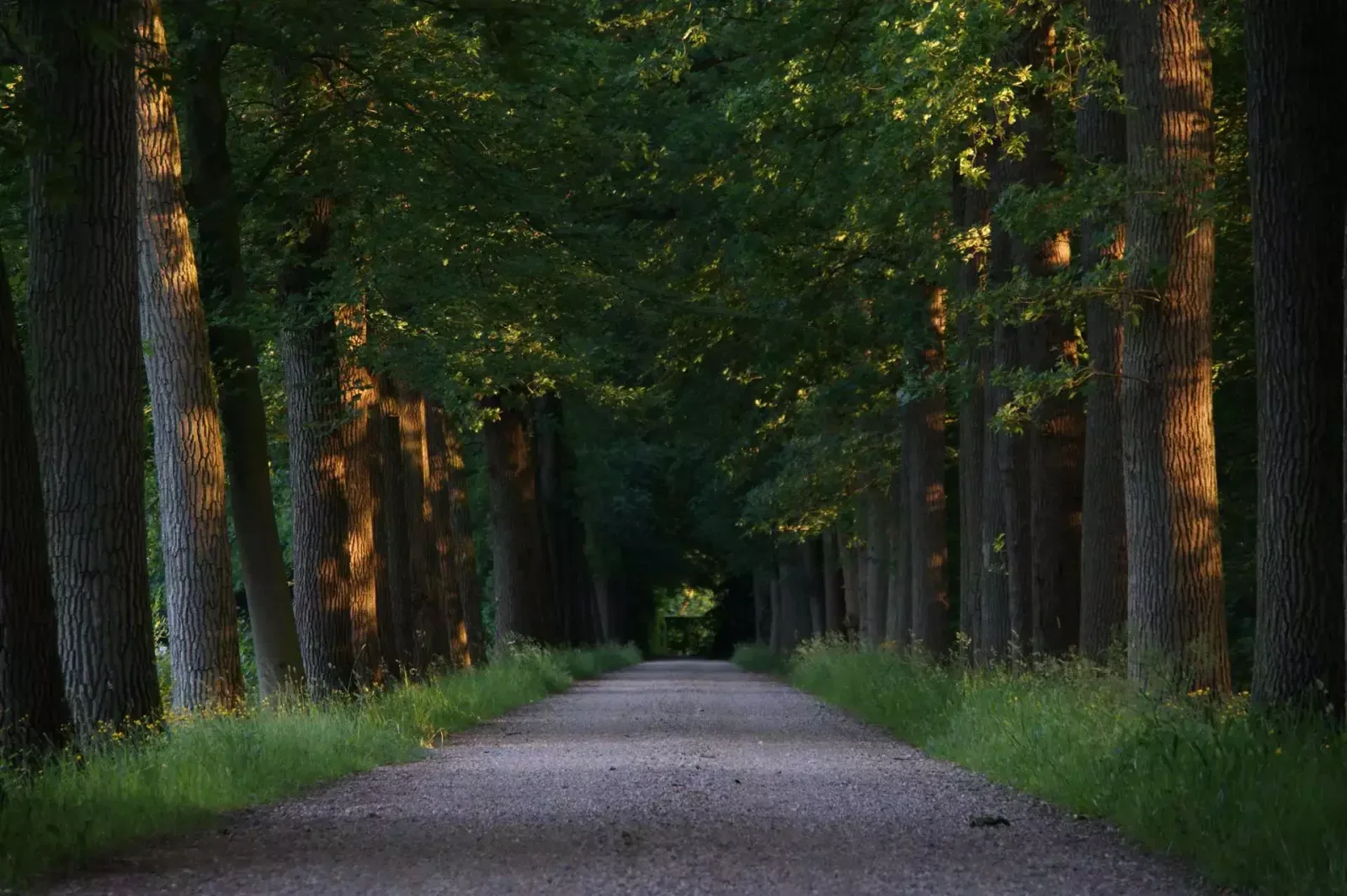 Team foto van DW Makelaardij