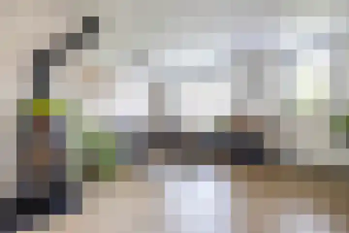 Dwarsakkers 7 Eext thumbnail 12